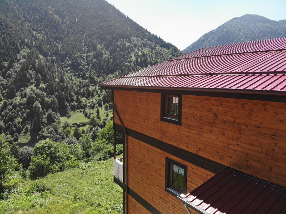 Badul Apart Aparthotel Uzungöl Buitenkant foto