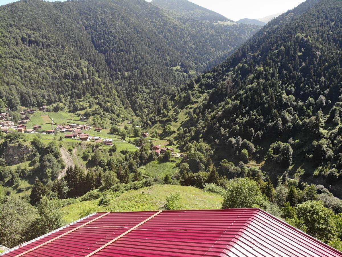 Badul Apart Aparthotel Uzungöl Buitenkant foto